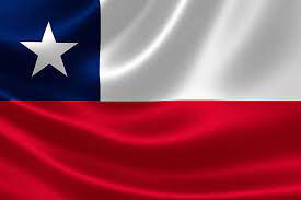 Bandera Chilena 60*90 cm